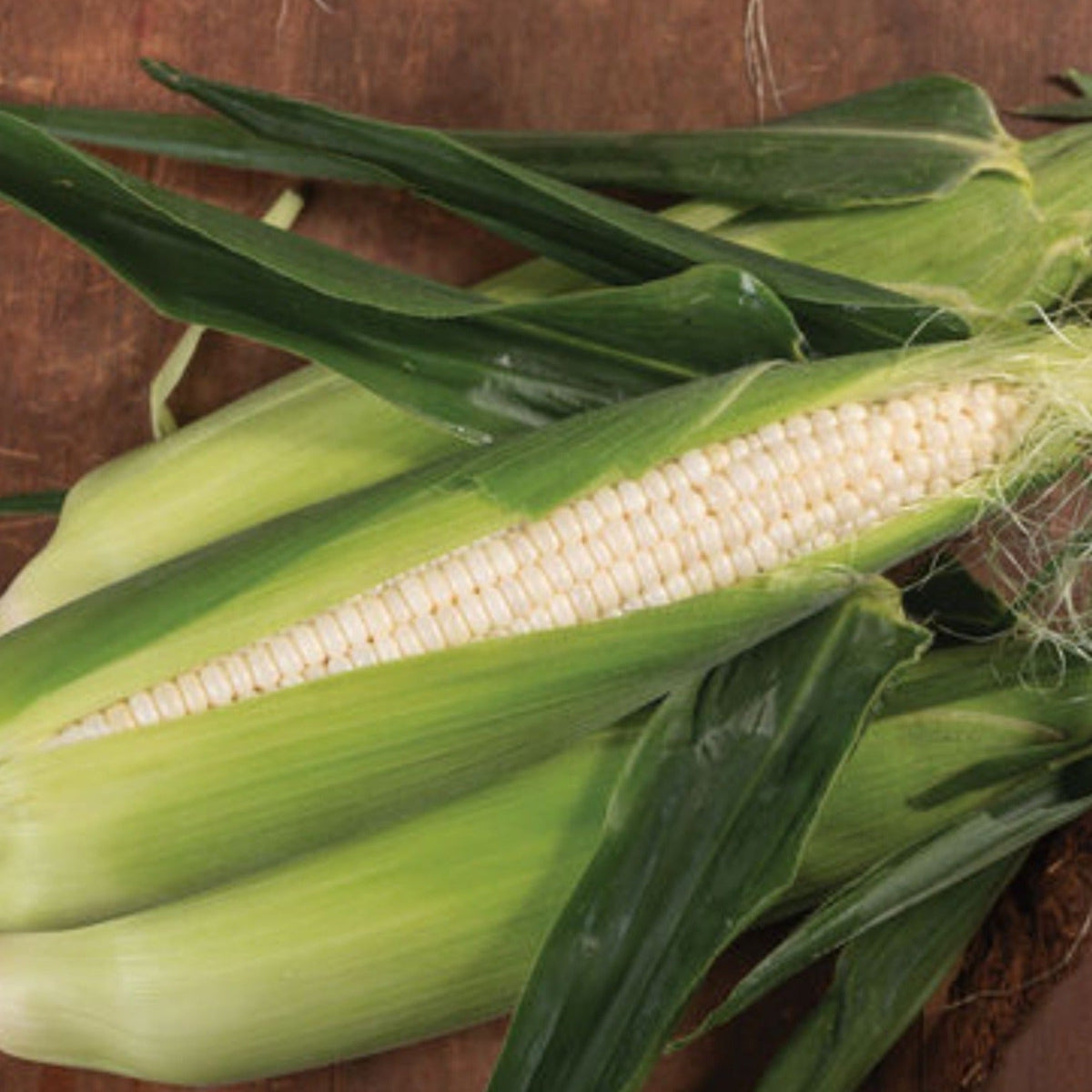 Silver Queen Treated Hybrid Sweet Corn Seed by Papaws Garden Supply