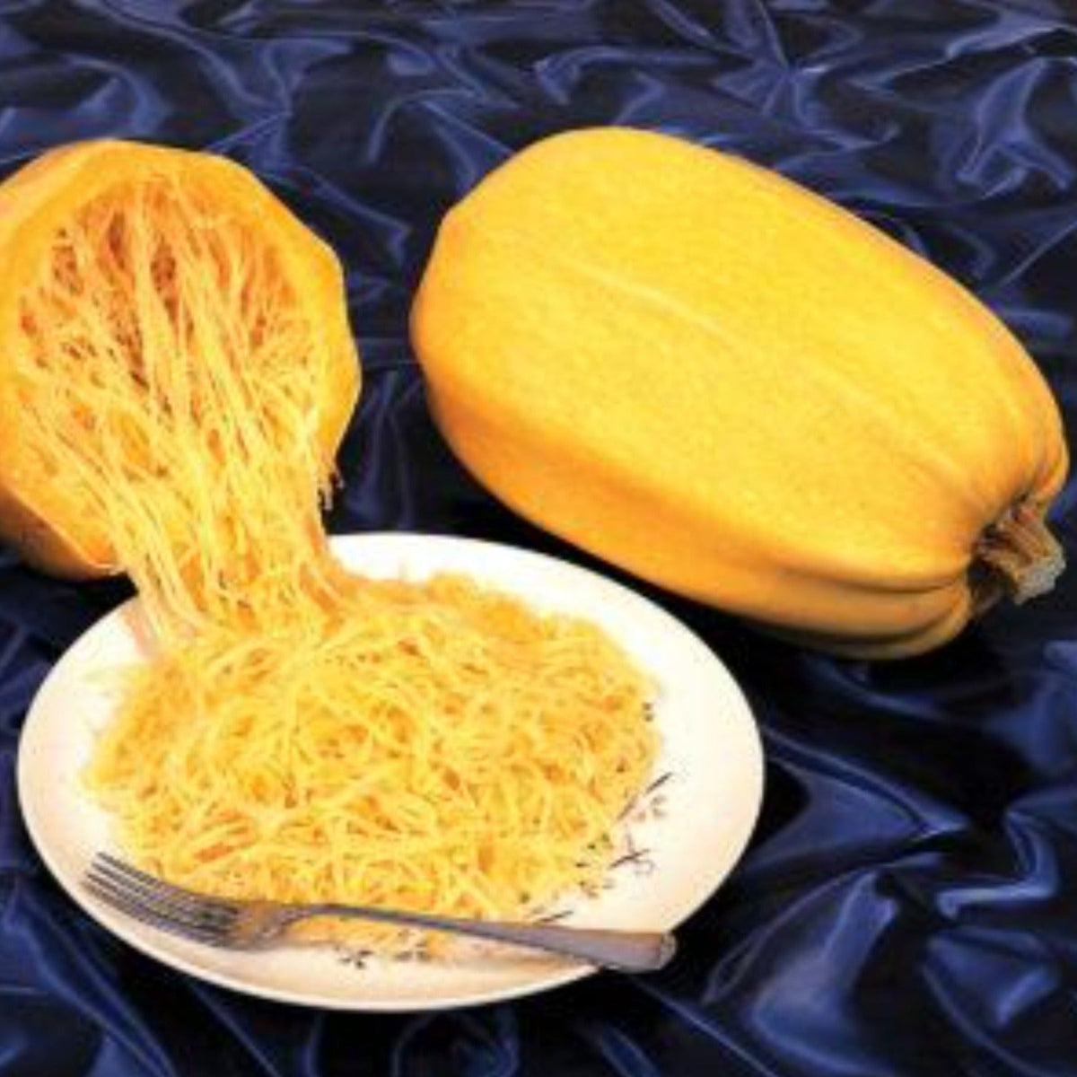 Spaghetti Winter Squash Seeds by Papaws Garden Supply