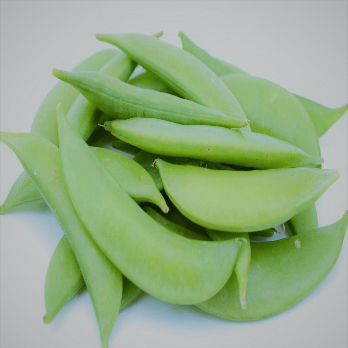 Sugar Snap Pea Seeds by Papaws Garden Supply
