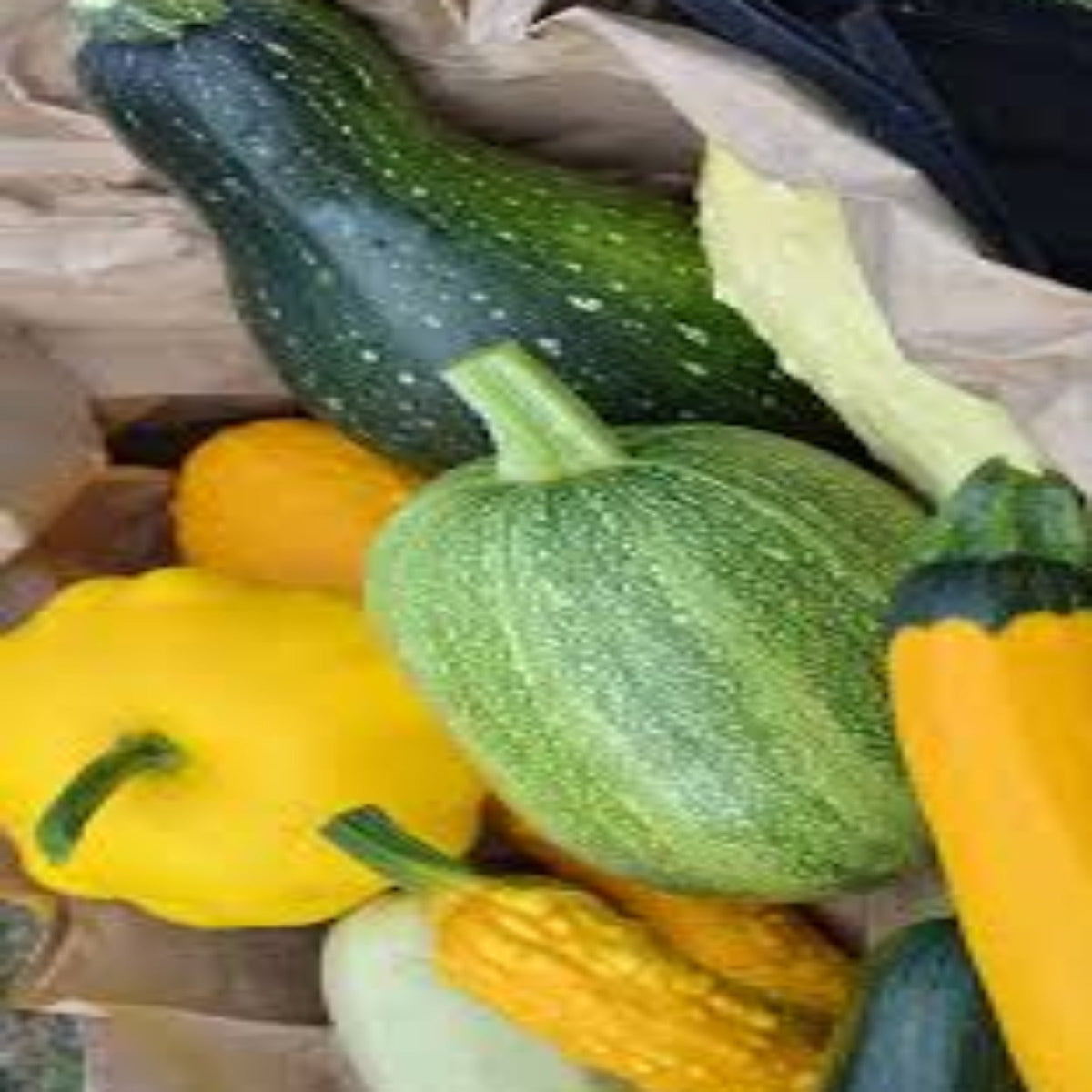 Summer Squash Variety Mix Seeds by Papaws Garden Supply