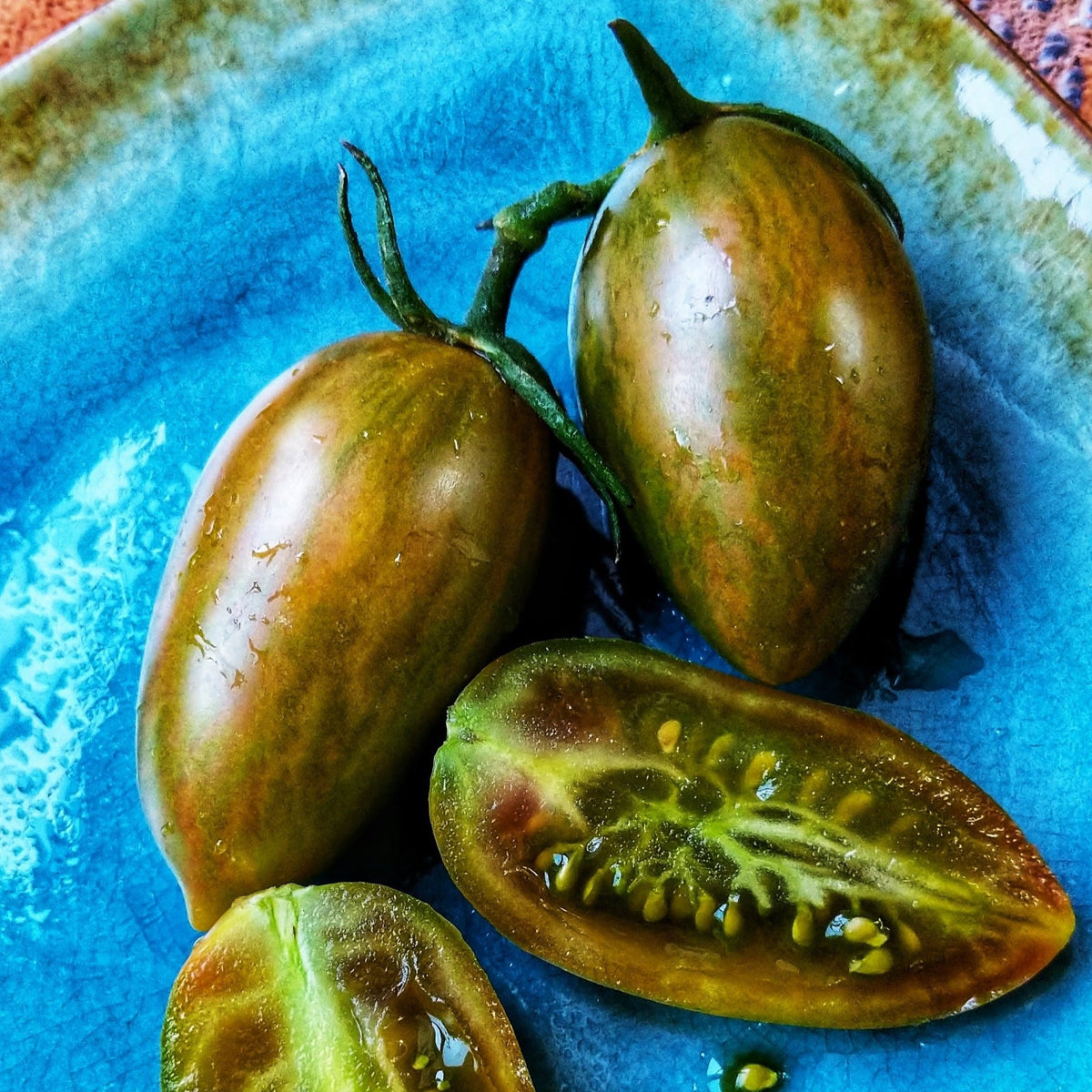 Lucky Tiger Tomato by MIgardener