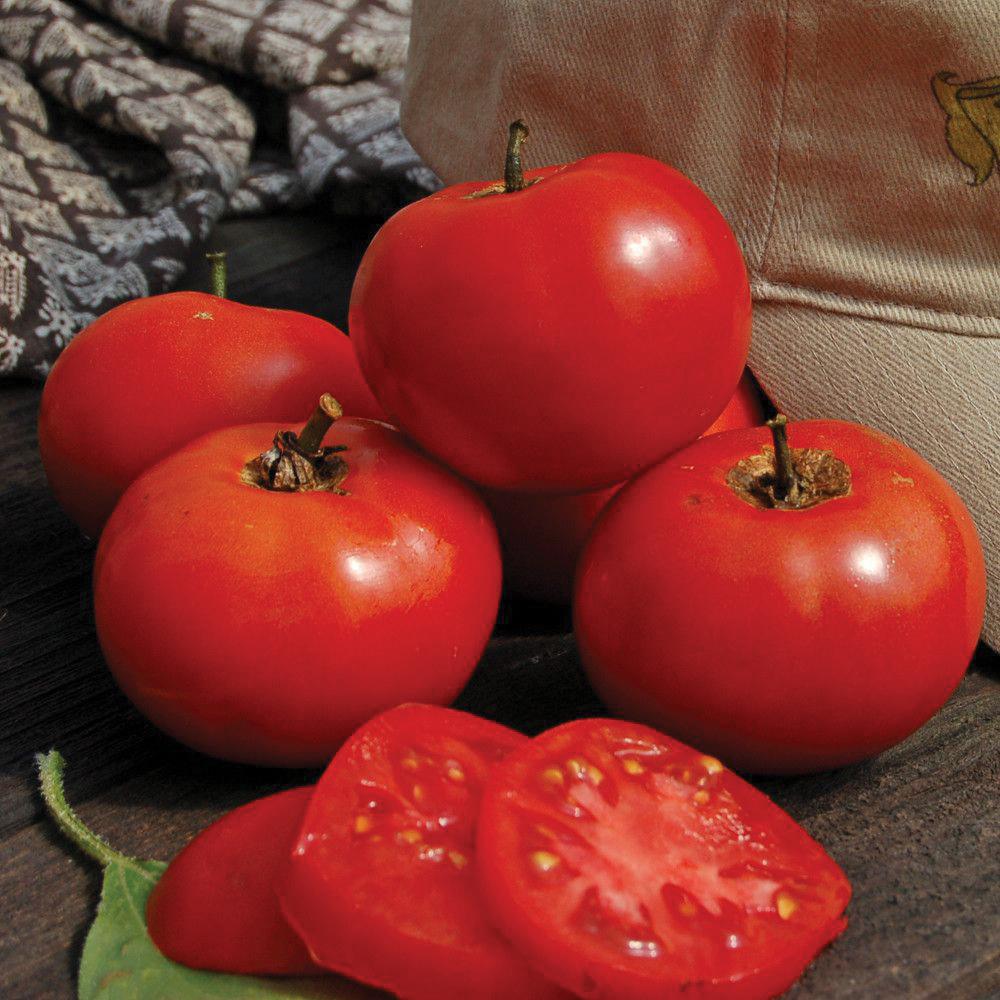 Crimson Sprinter Tomato by MIgardener