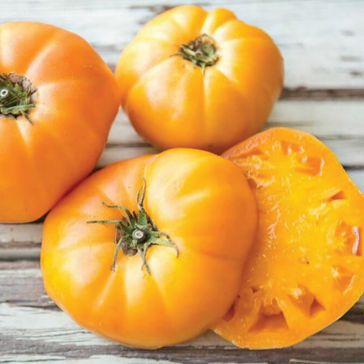 Goldie Tomato by MIgardener