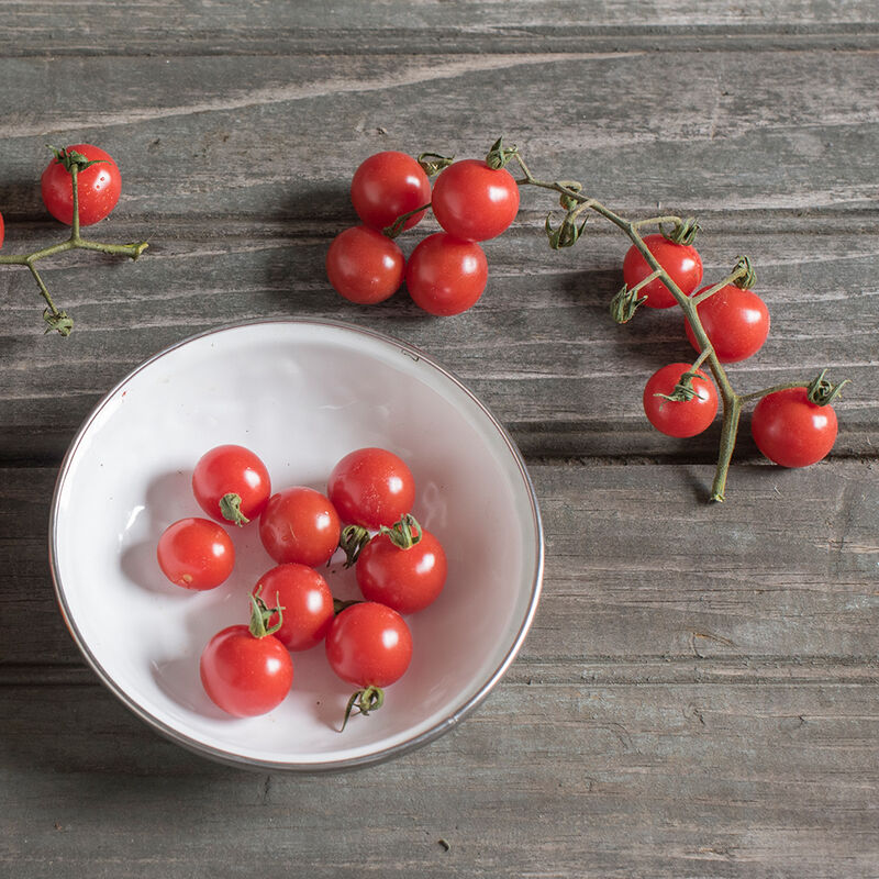 Matt's Wild Cherry Tomato by MIgardener