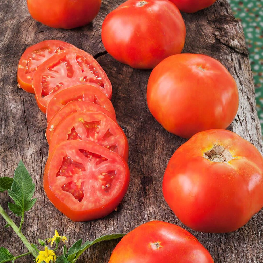 Rutgers Tomato by MIgardener