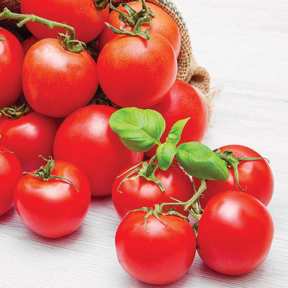 Chadwick Cherry Tomato by MIgardener