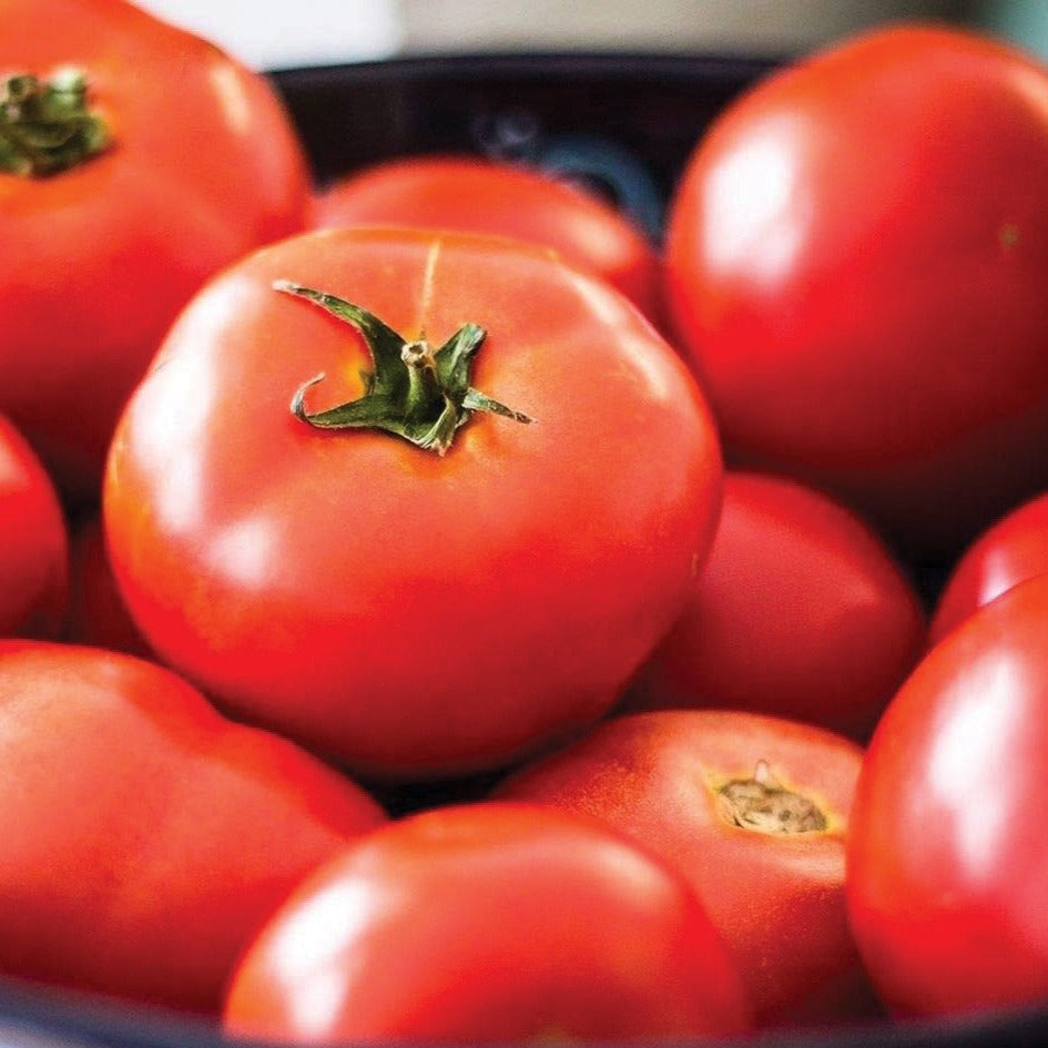 New Yorker Tomato by MIgardener