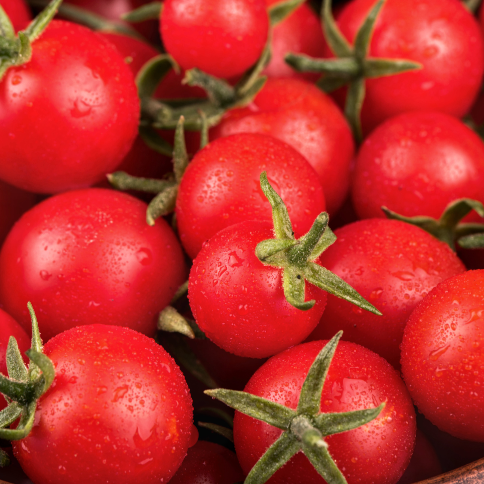 Sweetie Tomato by MIgardener