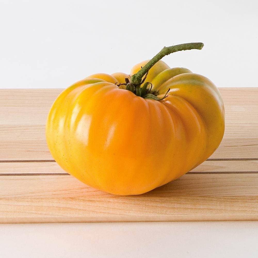 Orange Oxheart Tomato by MIgardener