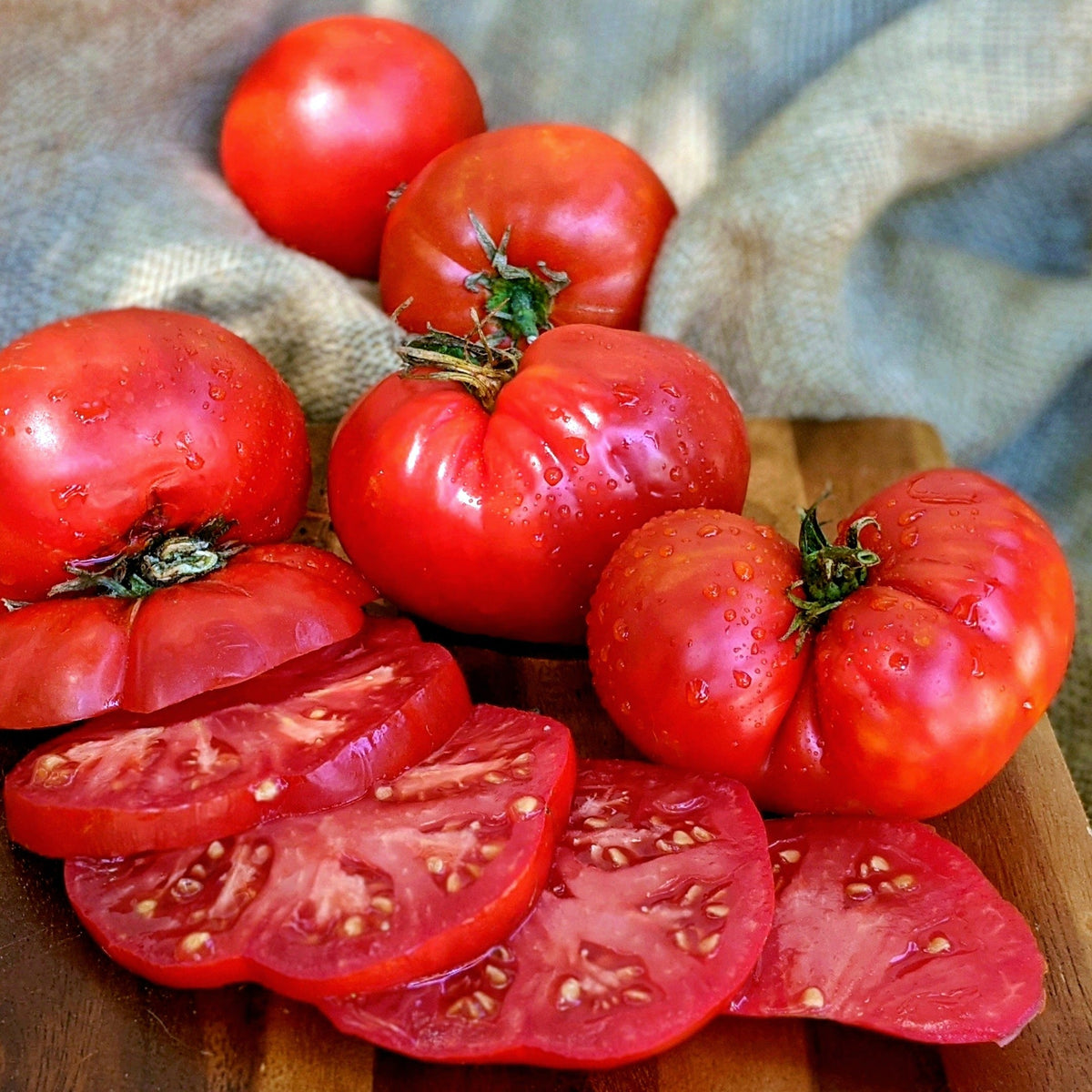 Giant Crimson Tomato by MIgardener