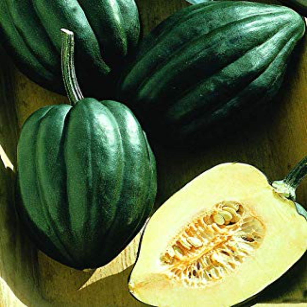 Table King Bush Winter Squash Seeds by Papaws Garden Supply