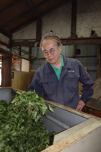 Samidori Single Cultivar Matcha