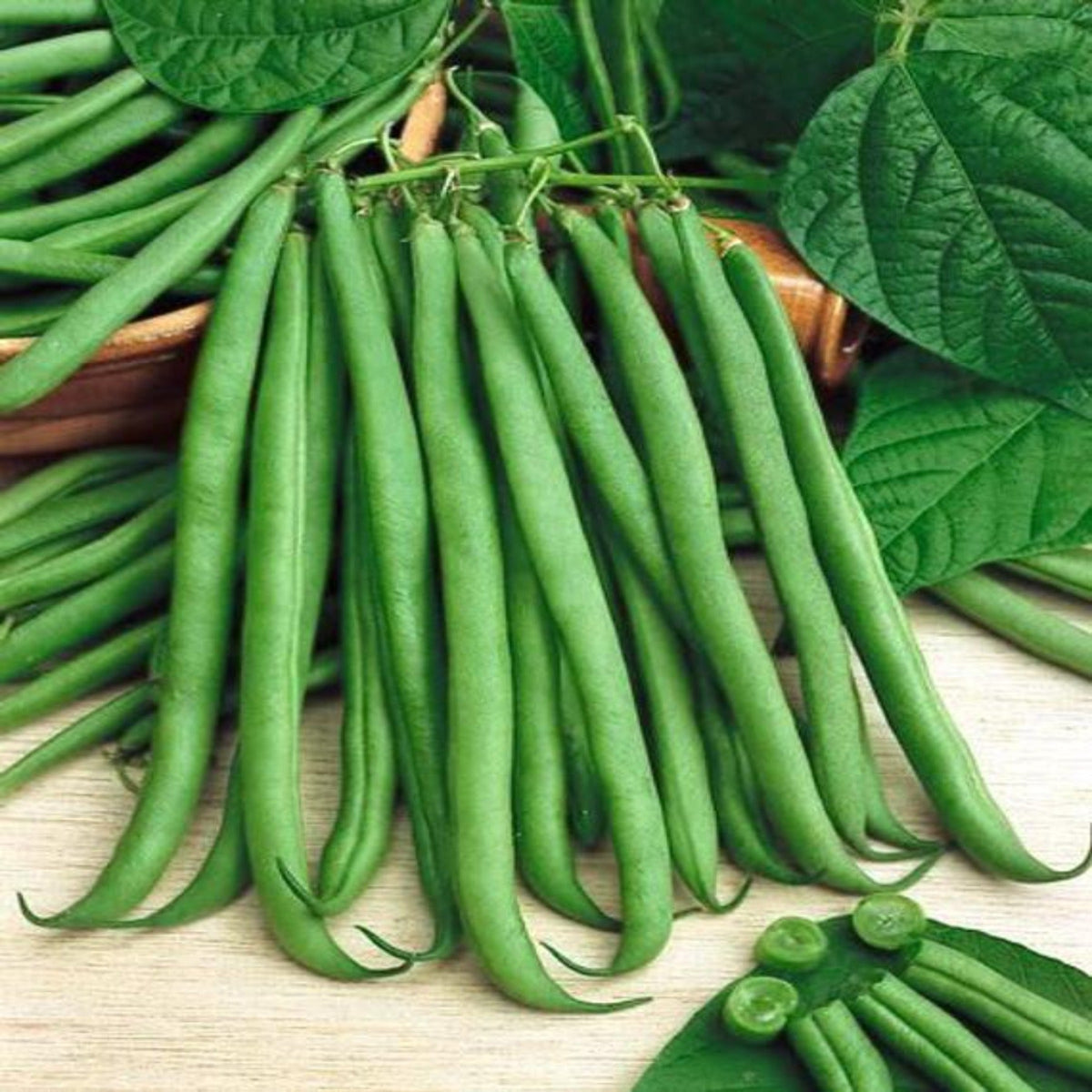 Top Crop Bush Green Bean by Papaws Garden Supply