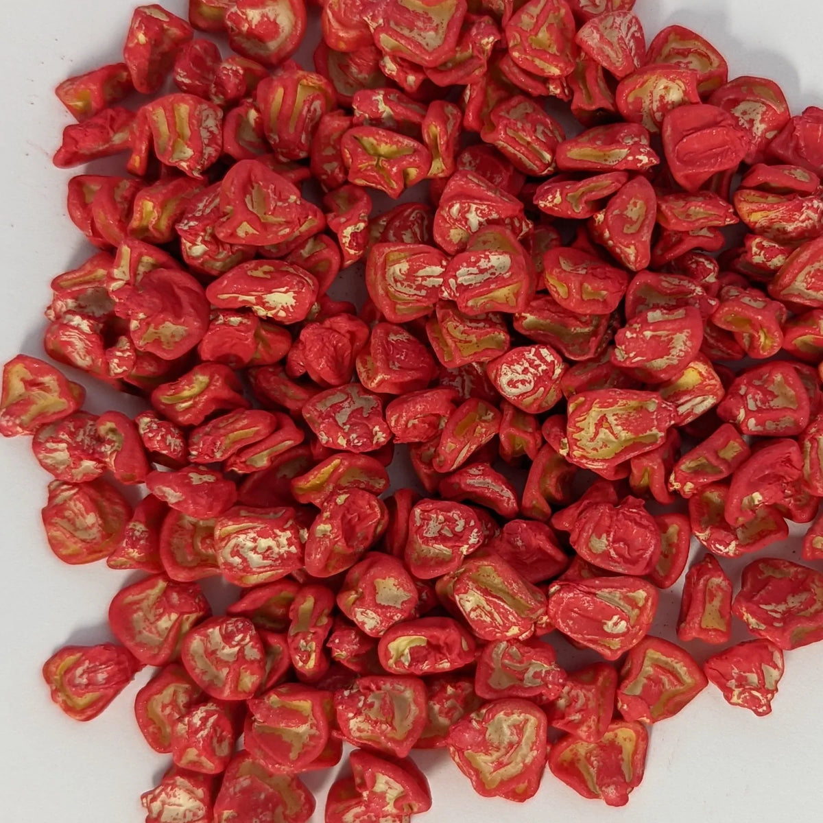 Honey Select Treated Yellow Hybrid Sweet Corn Seed, image 2 of 8