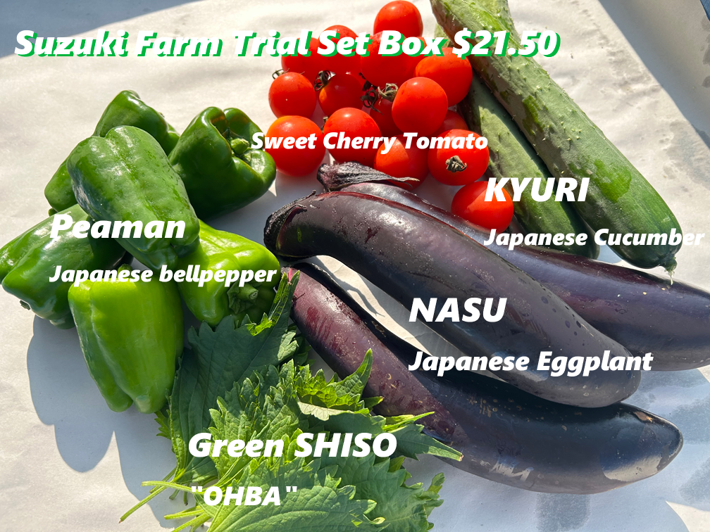 Trial Set Box | Suzuki Farm | 5 items, image 2 of 5