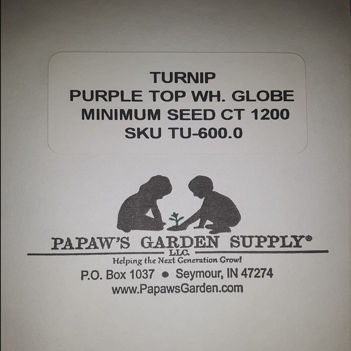 Purple Top White Globe Turnip Seeds, image 3 of 5