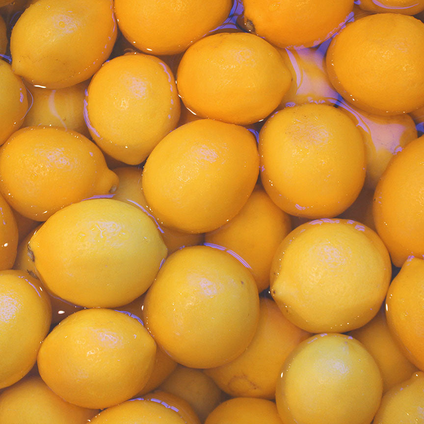 Meyer Lemon Marmalade, image 12 of 13