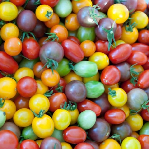 Cherry-licious Mix Tomatoes by MIgardener
