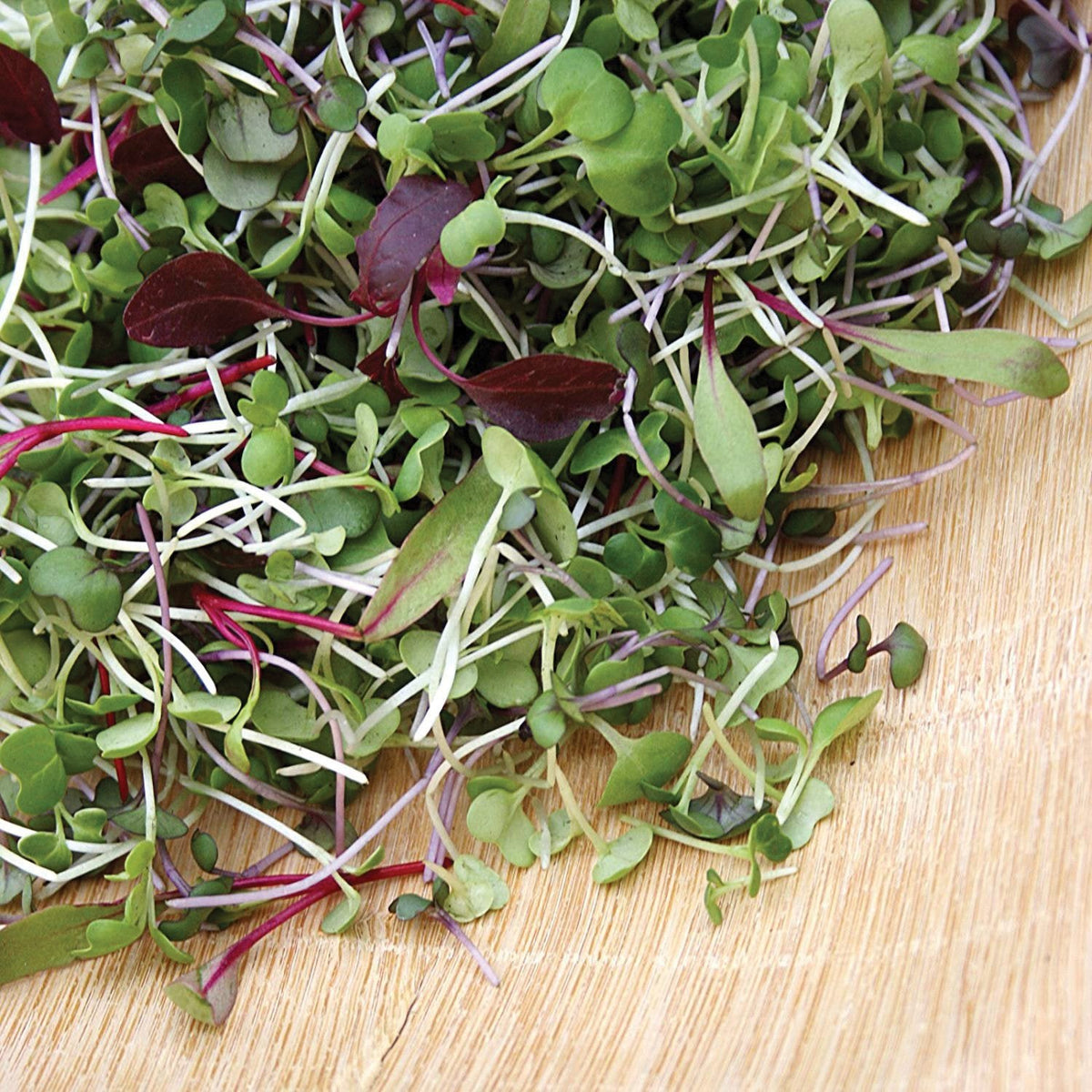Sprout & Microgreen Mix by MIgardener