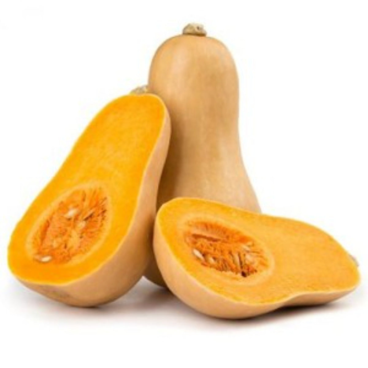 Waltham Heirloom Butternut Winter Squash Seeds by Papaws Garden Supply