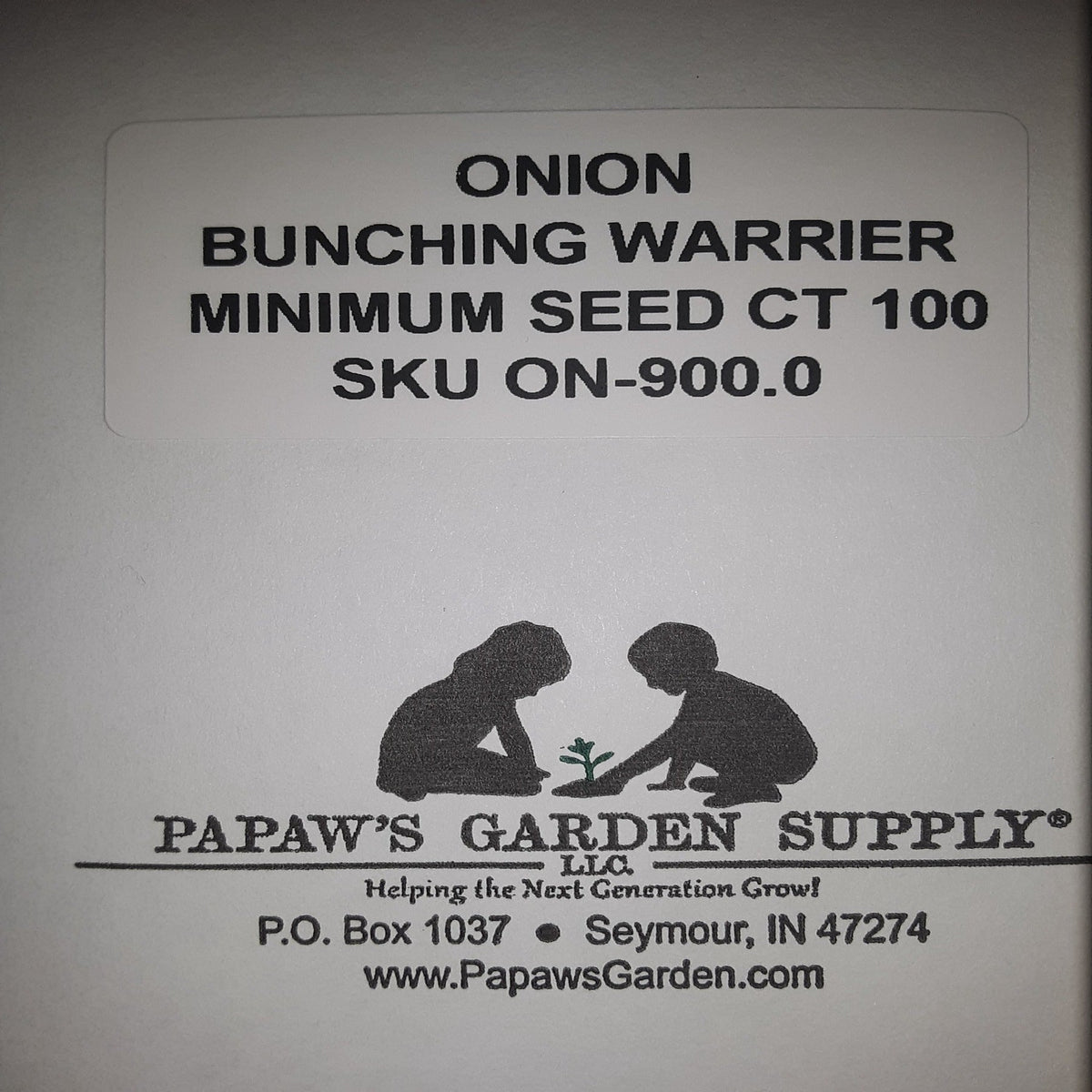 Onion Warrior Bunching Seeds, image 3 of 5