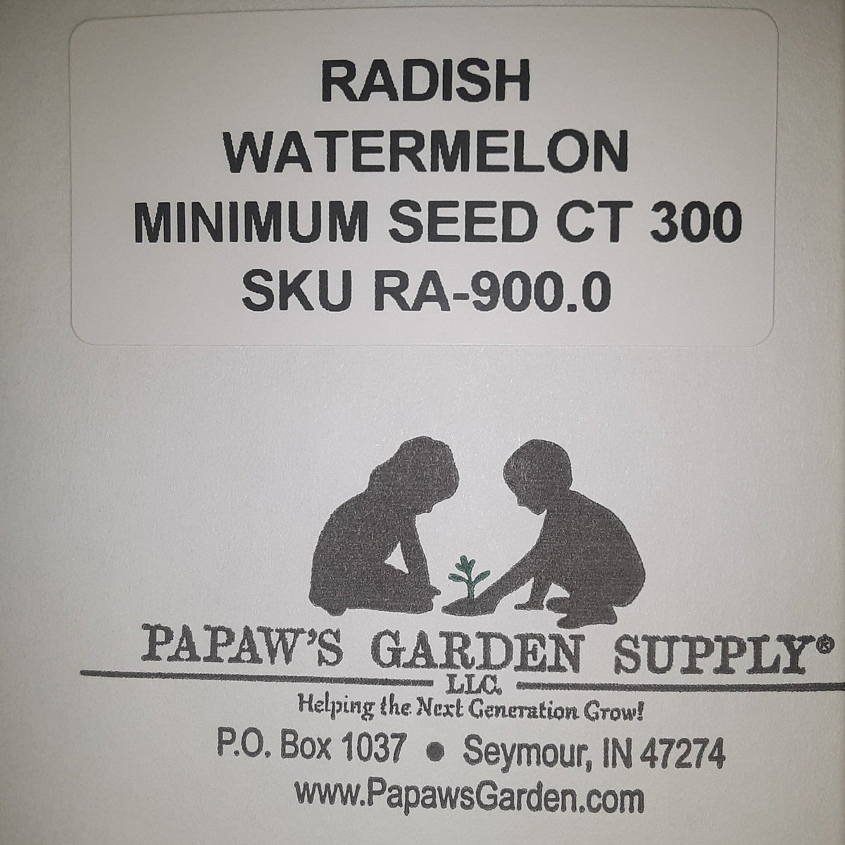Watermelon (Winter) Radish Seeds, image 3 of 5