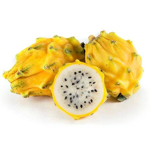Yellow Pitaya, Dragon Fruit, Fruit Trees from Everglades Farm