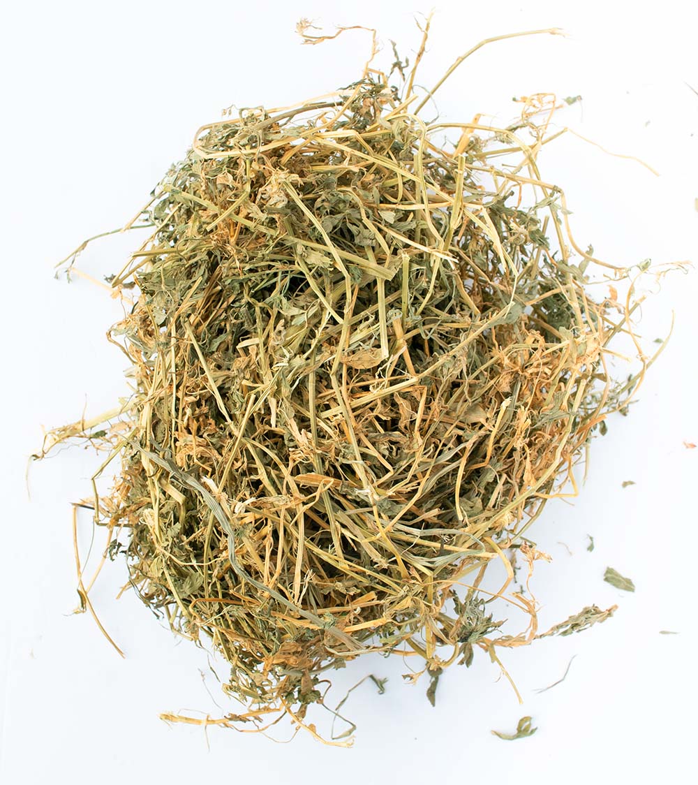 BunLuv All Natural Alfalfa For Rabbits, Guinea Pigs, Chinchillas, & Hamsters (10 Pounds) from Dahlia Pets