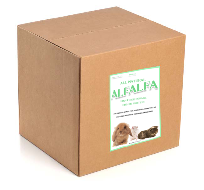 BunLuv All Natural Alfalfa For Rabbits, Guinea Pigs, Chinchillas, & Hamsters (10 Pounds) from Dahlia Pets