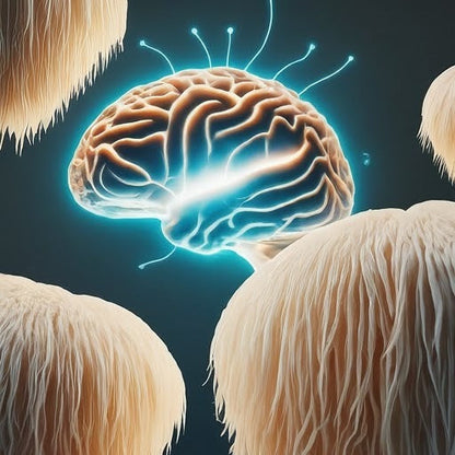 Mycomatrix Lion's Mane Adaptogenic Mushroom Extract