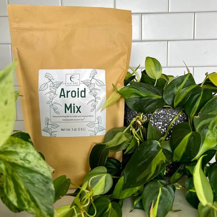Premium Aroid Mix For Tropical Plants