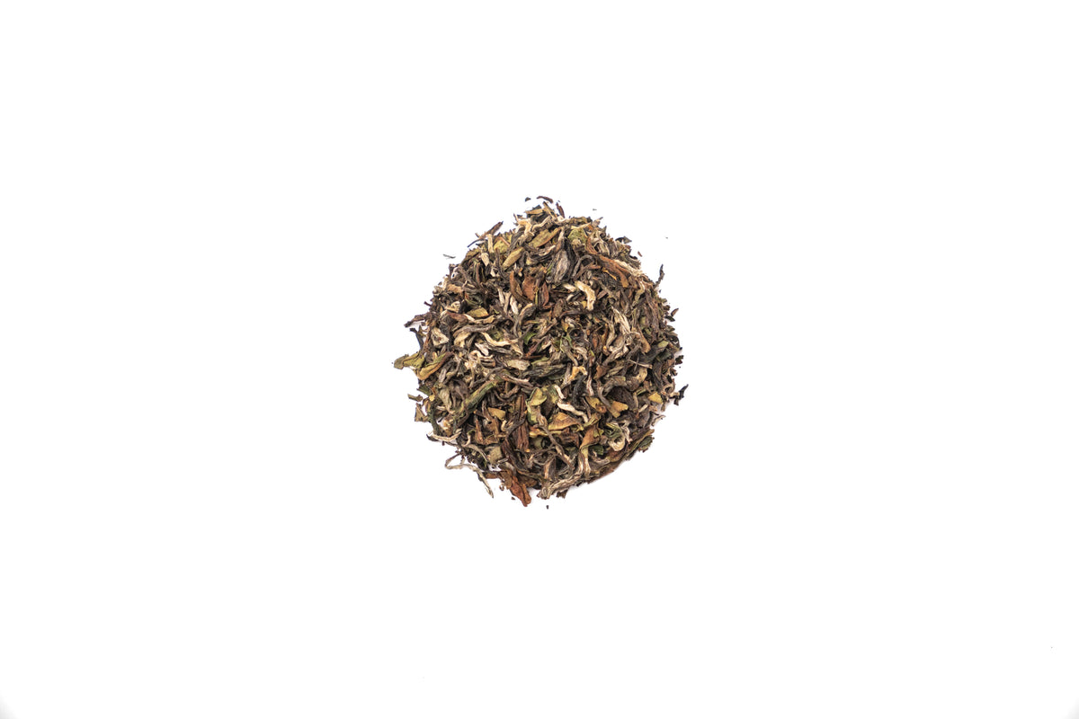Autumn Oolong