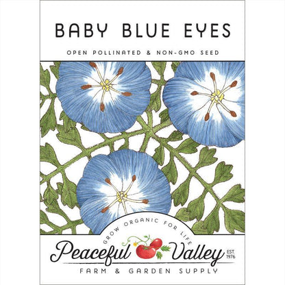 Baby Blue Eyes (pack)