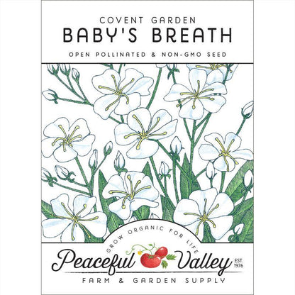 Baby's Breath (pack)