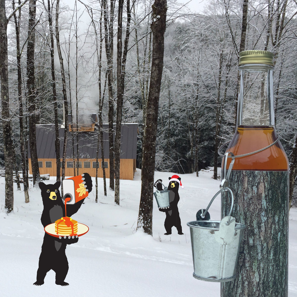 The Vermont Maple Tree, image 2 of 3