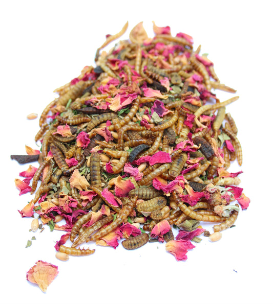 BEE A Beautiful Hen Herbal Treat With Mealworms, Wheat, & Rose Petals For Chickens, Chicken Treats from Dahlia Pets