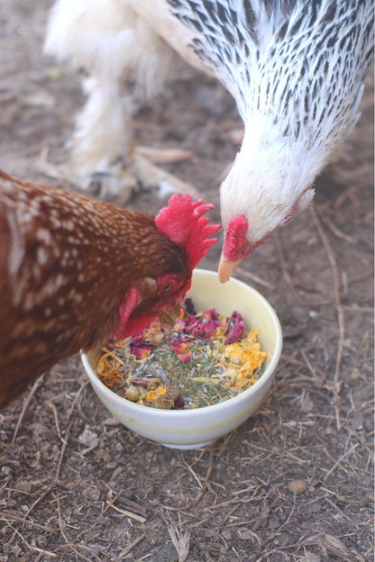 Best Eggs Ever! Nesting Herbs (Chamomile, Roses, Lavender, Cornflowers, & Calendula) For Pet Chickens, Animals & Pet Supplies from Dahlia Pets