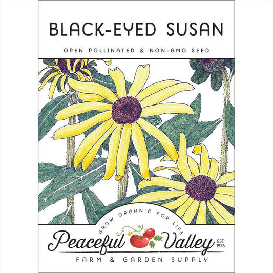Black-Eyed Susan (pack)