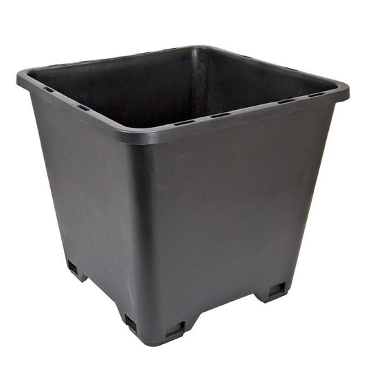 Blueberry Pot (12" sq), Garden from Grow Organic