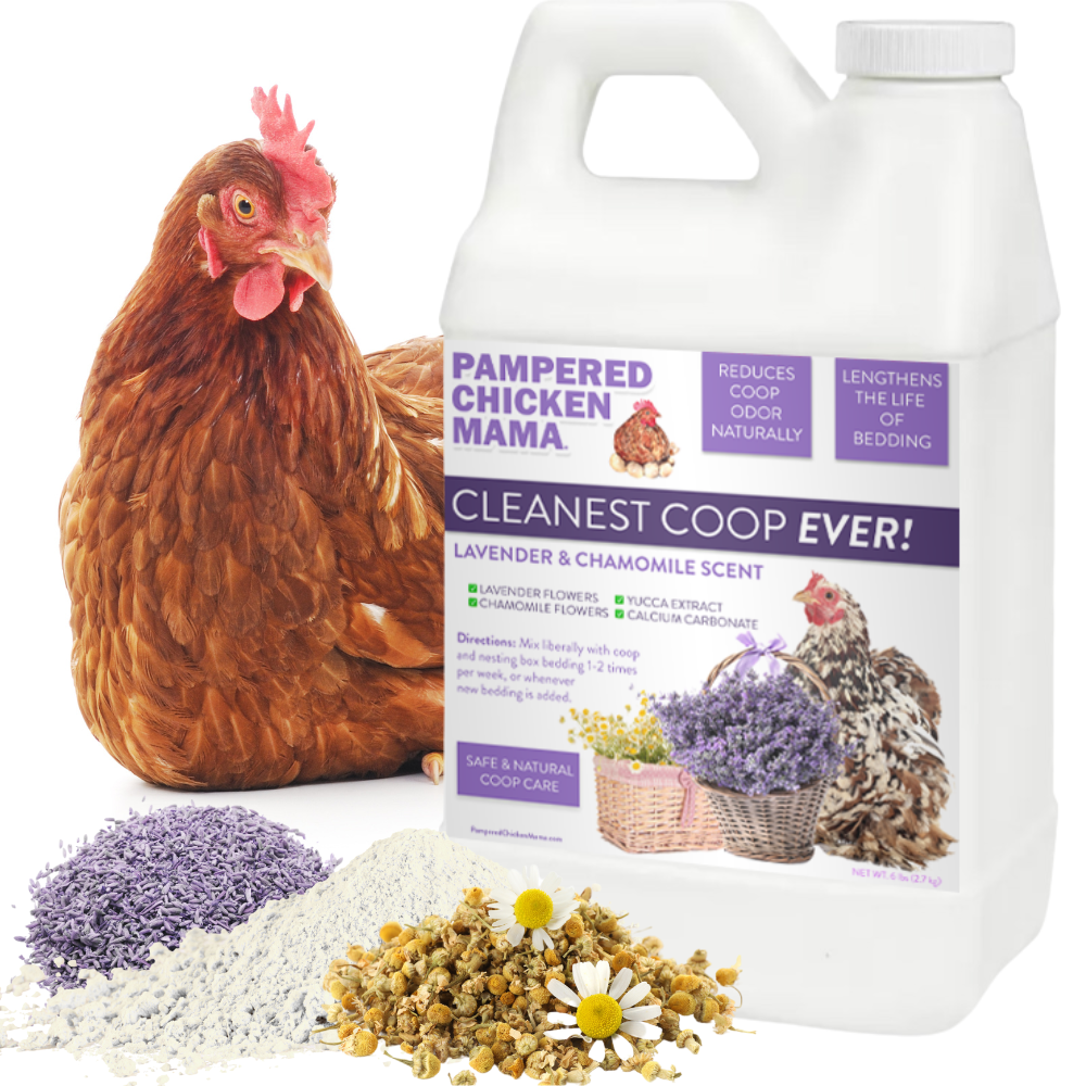 Cleanest Coop Ever! Coop Refresher (6 Pounds) from Dahlia Pets