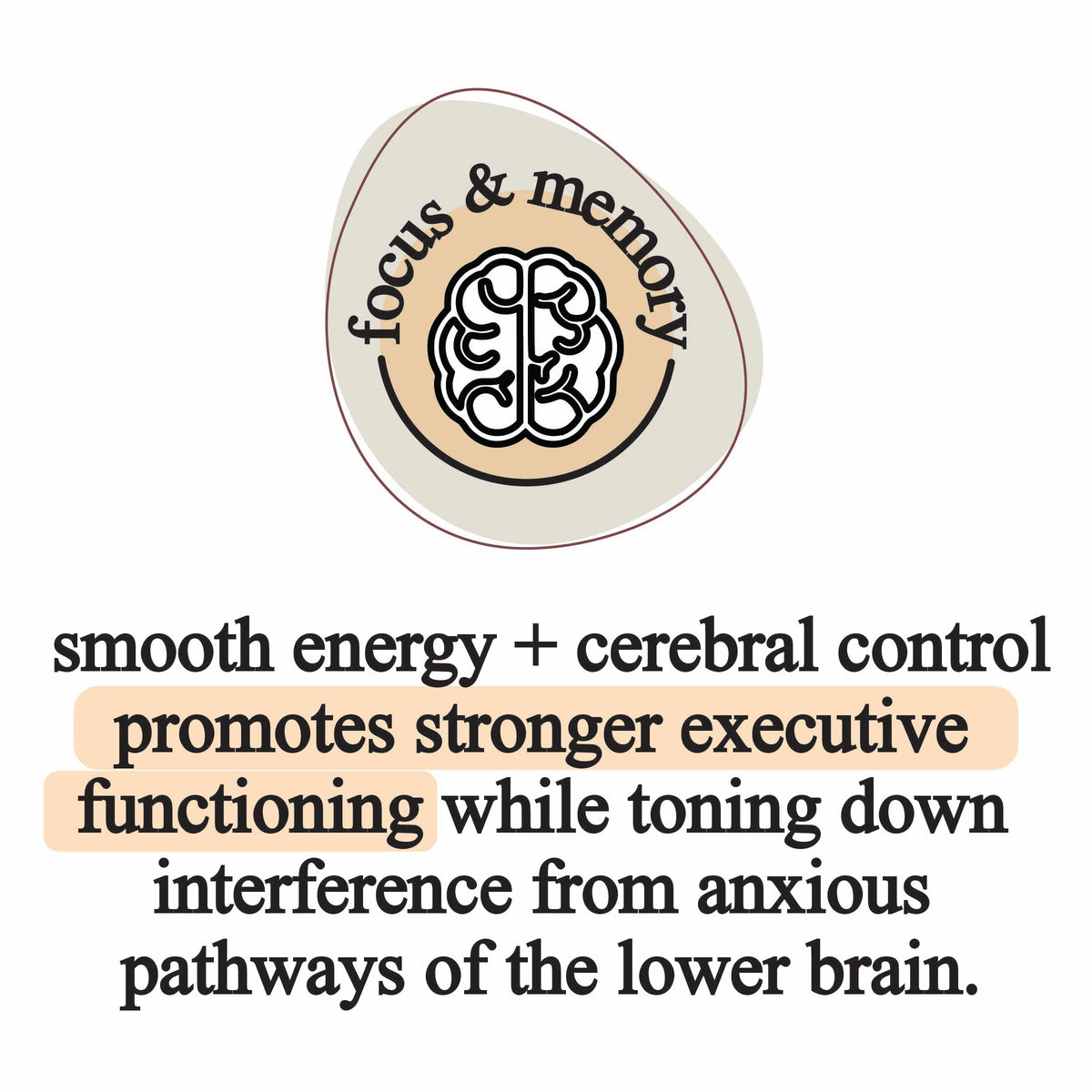 elemental mushroom blend, Supplement from Roots Apothecary