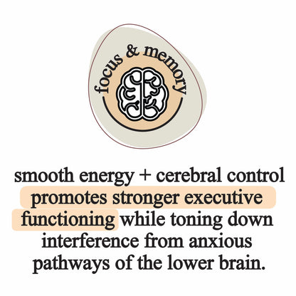 elemental mushroom blend, Supplement from Roots Apothecary
