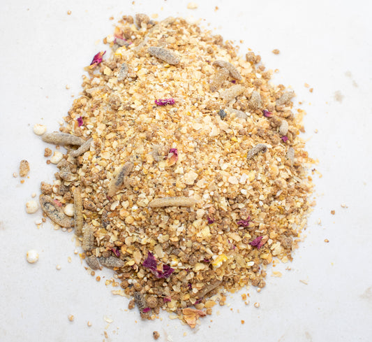Chickeratti Treat For Baby Chicks from Dahlia Pets