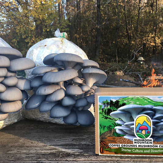 Coffee Cultivator, Garden from Mushroom Mountain