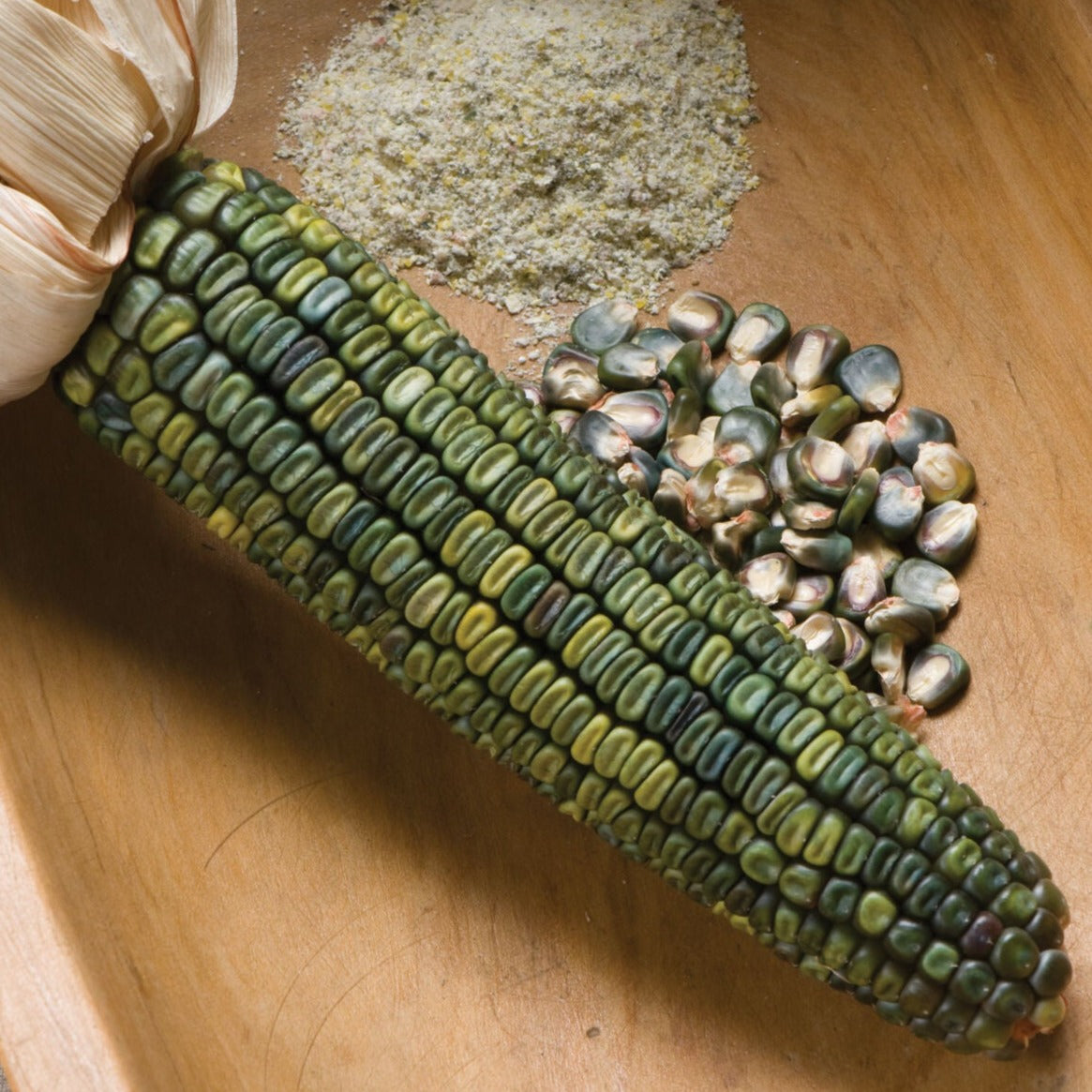 Oaxacan Green Dent Corn by MIgardener