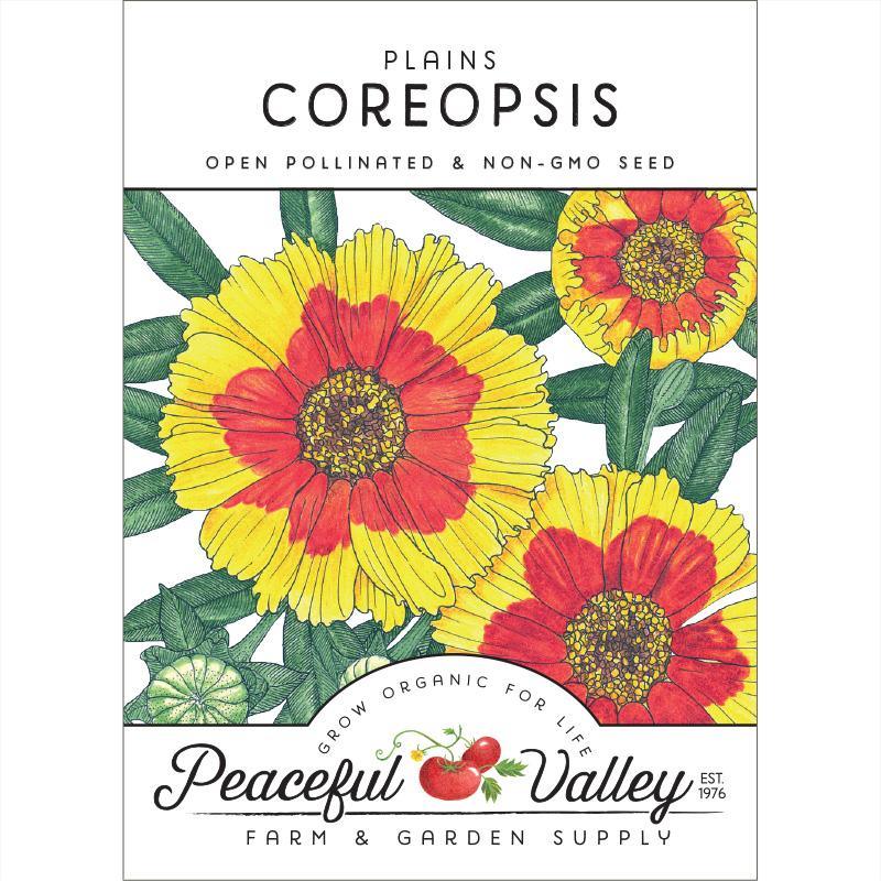 Coreopsis, Plains (pack)