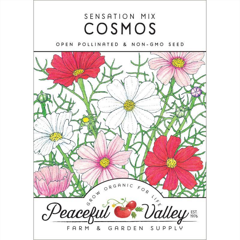 Cosmos, Sensation Mix (pack)