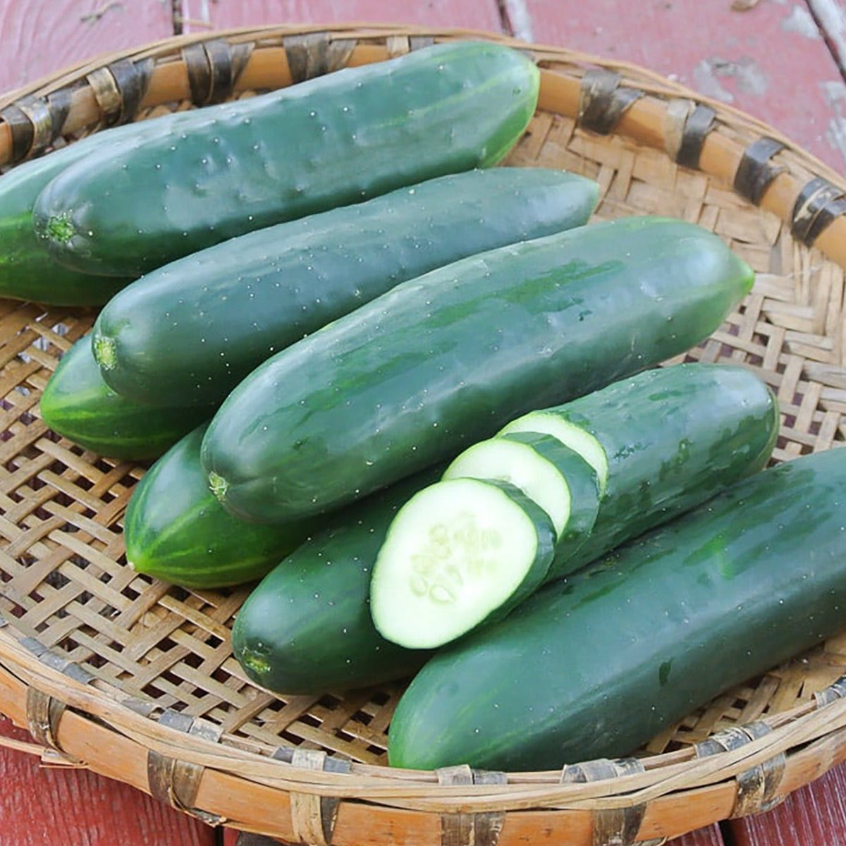 Poinsett 76 Cucumber by MIgardener