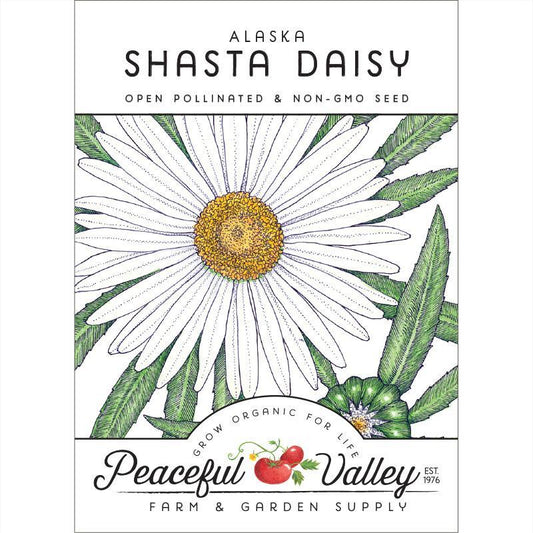 Daisy, Shasta (pack)