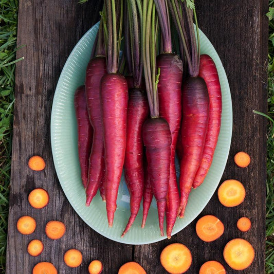 Dragon Carrot Seeds (Organic), Garden from Grow Organic